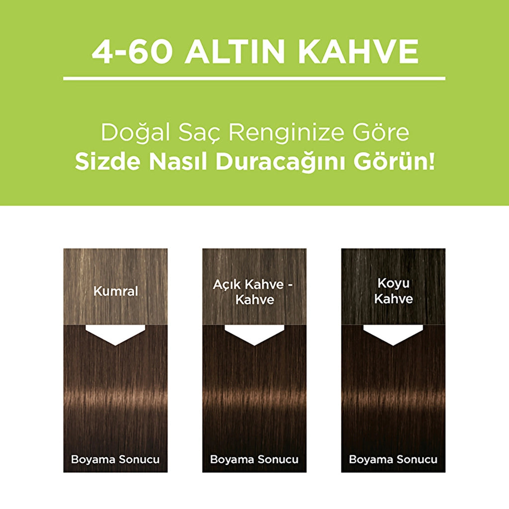 Palette Permanent Natural Colors Hair Dye 4-60 Golden Brown